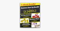 Business Start Up For Dummies